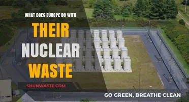 Managing the Unseen Peril: Europe's Approach to Nuclear Waste Disposal