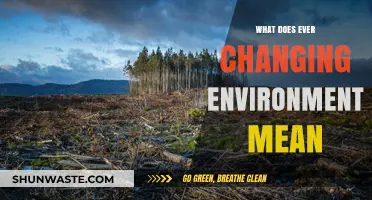 Navigating the Ever-Changing Environment: Understanding Its Impact and Meaning