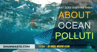 Ocean Pollution: What's the Public Sentiment?