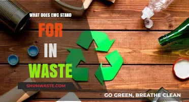 Decoding EWC: Understanding the Essentials of Waste Classification