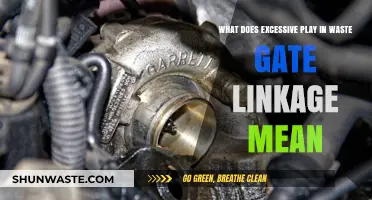 Decoding Waste Gate Linkage: When Play Becomes Excessive