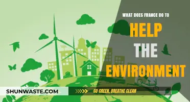 France's Green Initiatives: Environmental Policies and Sustainable Practices in Action