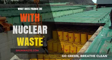 France's Nuclear Waste Management: Strategies, Storage, and Environmental Impact