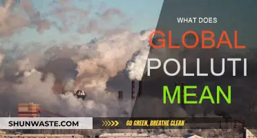 The Impact of Global Pollution: Understanding Our World's Crisis