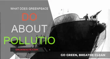 Greenpeace's Pollution-Fighting Strategies: Making an Impact