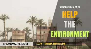 H&M's Eco-Friendly Initiatives: Sustainable Fashion for a Greener Future