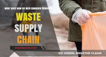 Sustainable Practices: H&M's Approach to Damaged Products and Waste Management