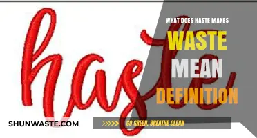 Understanding the Timeless Wisdom: What 'Haste Makes Waste' Truly Means