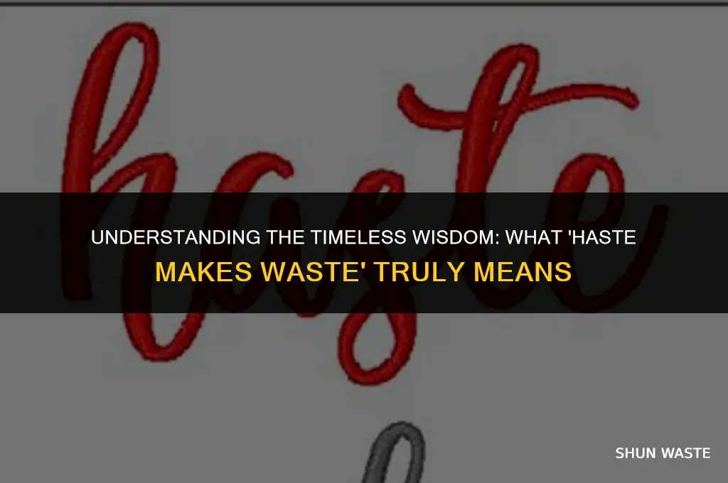 what does haste makes waste mean definition