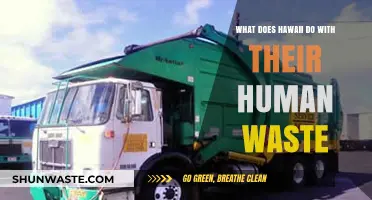 Sustainable Waste Management Practices in Hawaii: A Comprehensive Overview
