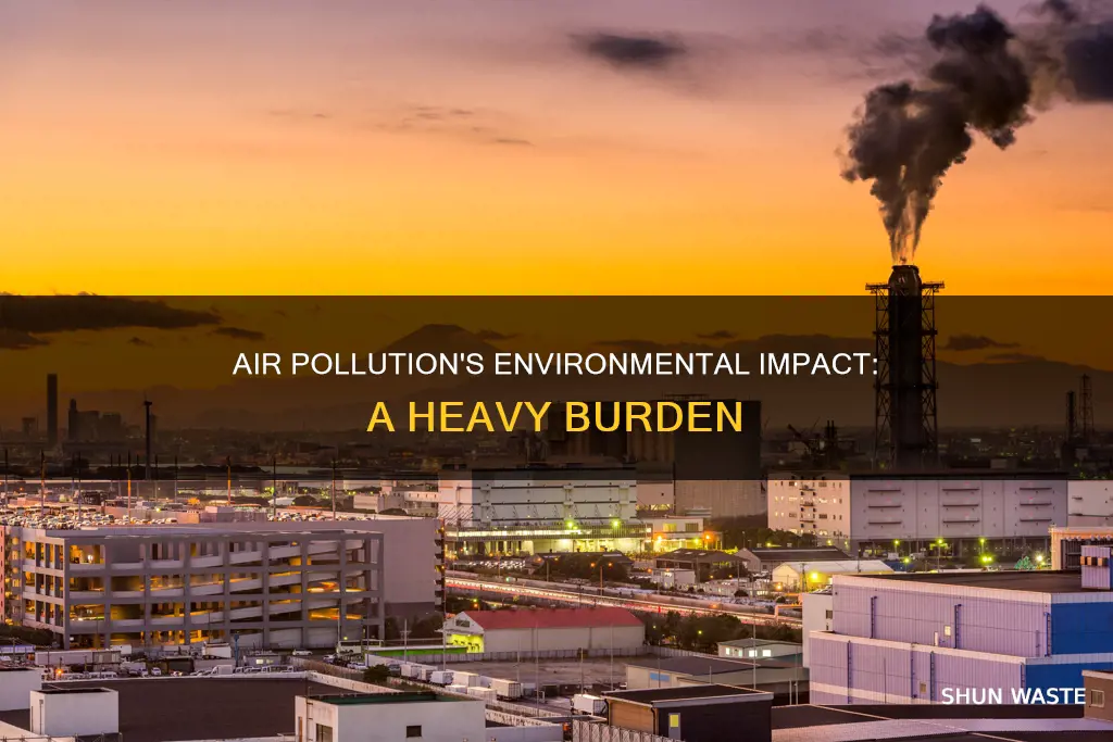 what does heavy air pollution affect in the environment