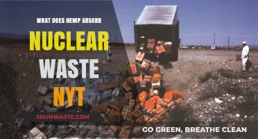 Hemp's Surprising Ability to Absorb Nuclear Waste: A Breakthrough Study