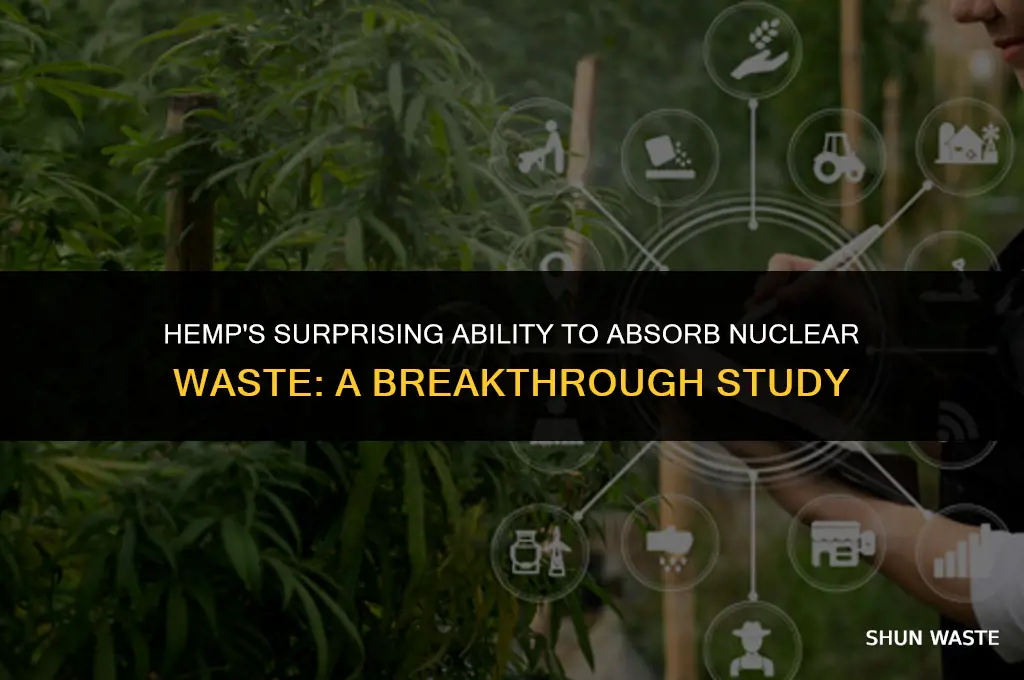what does hemp absorb nuclear waste nyt