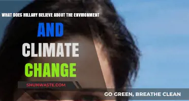 Hillary's Environmental Vision: Climate Change Policies and Beliefs Explained
