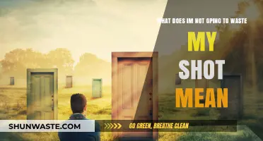 Seizing Opportunities: The Fearless Mantra 'I'm Not Going to Waste My Shot