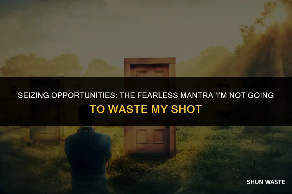 what does im not gping to waste my shot mean