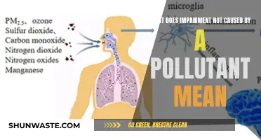 Understanding Impairment: Beyond the Pollutant