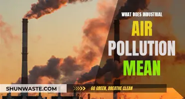 Air Pollution's Industrial Culprits: What's the Meaning?
