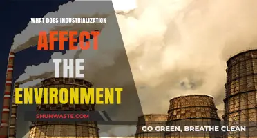 Industrialization's Environmental Impact: Pollution, Deforestation, and Climate Change Explored