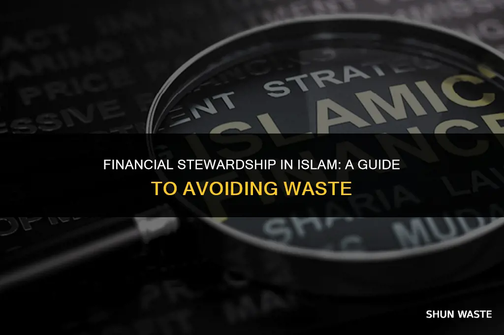 what does islam say about wasting money