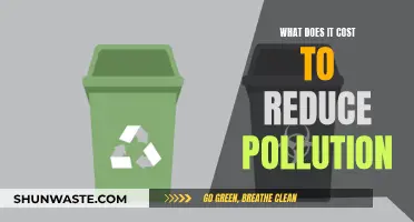 Pollution Reduction: What's the True Cost?