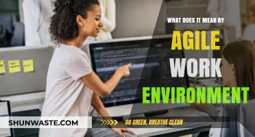 Understanding Agile Work Environments: Flexibility, Collaboration, and Productivity Explained
