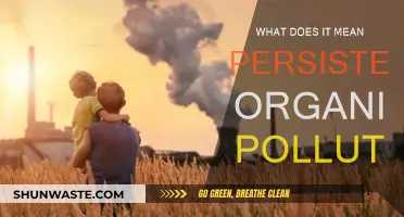 Persistent Organic Pollutants: Long-Lasting Toxic Chemicals