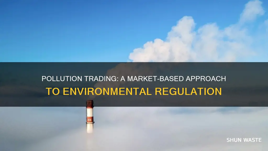 what does it mean that firms can trade pollution permits