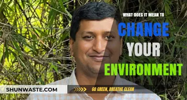 Transform Your Surroundings: How Changing Your Environment Reshapes Your Life