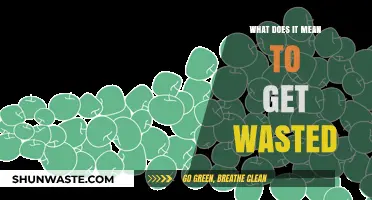 Understanding the Slang: What Does It Mean to Get Wasted?