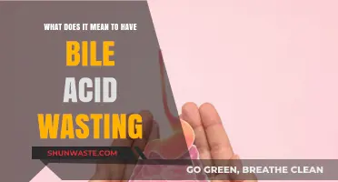 Understanding Bile Acid Wasting: Causes, Symptoms, and Treatment