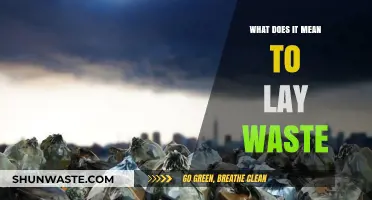 Understanding the Concept of Laying Waste: A Comprehensive Guide