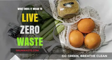 Embracing Sustainability: A Guide to Zero Waste Living