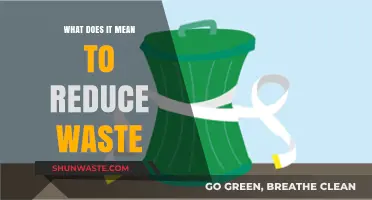 Sustainable Living: Understanding the Impact of Waste Reduction