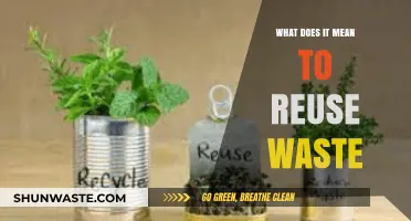 Rethinking Waste: The Art of Reusing and Repurposing