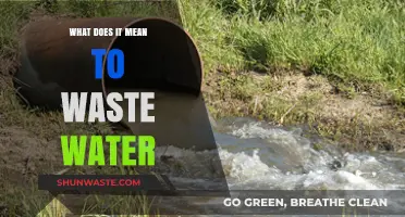 Understanding Water Waste: A Guide to Conservation and Responsibility