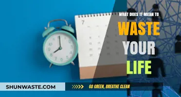 The Opportunity Cost of Wasted Time: Reflecting on Life's Purpose