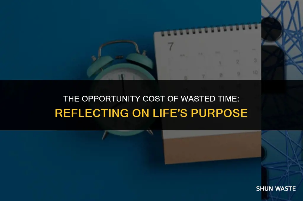 what does it mean to waste your life