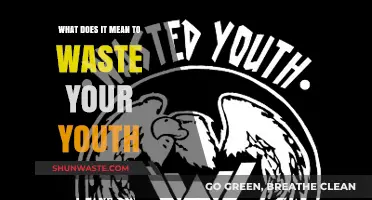 Squandering Potential: The Misguided Priorities of Youth