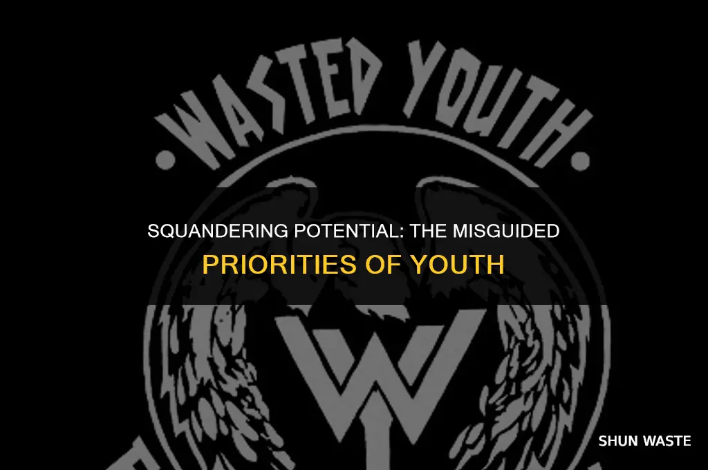 what does it mean to waste your youth