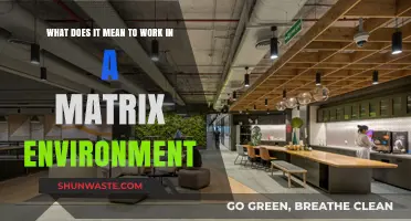 Navigating Complexity: Understanding Matrix Environments in Modern Workplaces