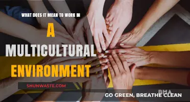 Embracing Diversity: Understanding the Dynamics of Multicultural Workplaces