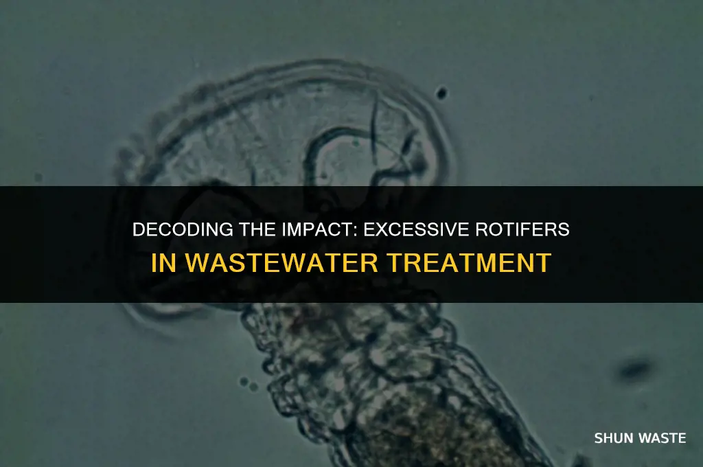 what does it mean too many rotifers in waste water