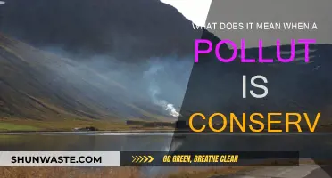 Understanding Conservative Pollutants: What Does It Mean?