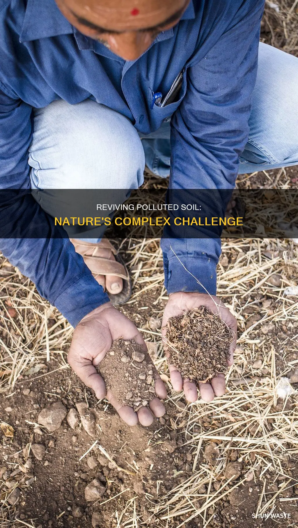 what does it take to reginerate polluted soil