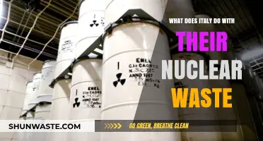 Managing the Unseen Hazard: Italy's Approach to Nuclear Waste Disposal