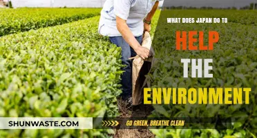 Japan's Green Initiatives: Sustainable Practices for a Healthier Planet