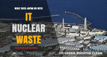 Japan's Nuclear Waste Management: A Sustainable Solution