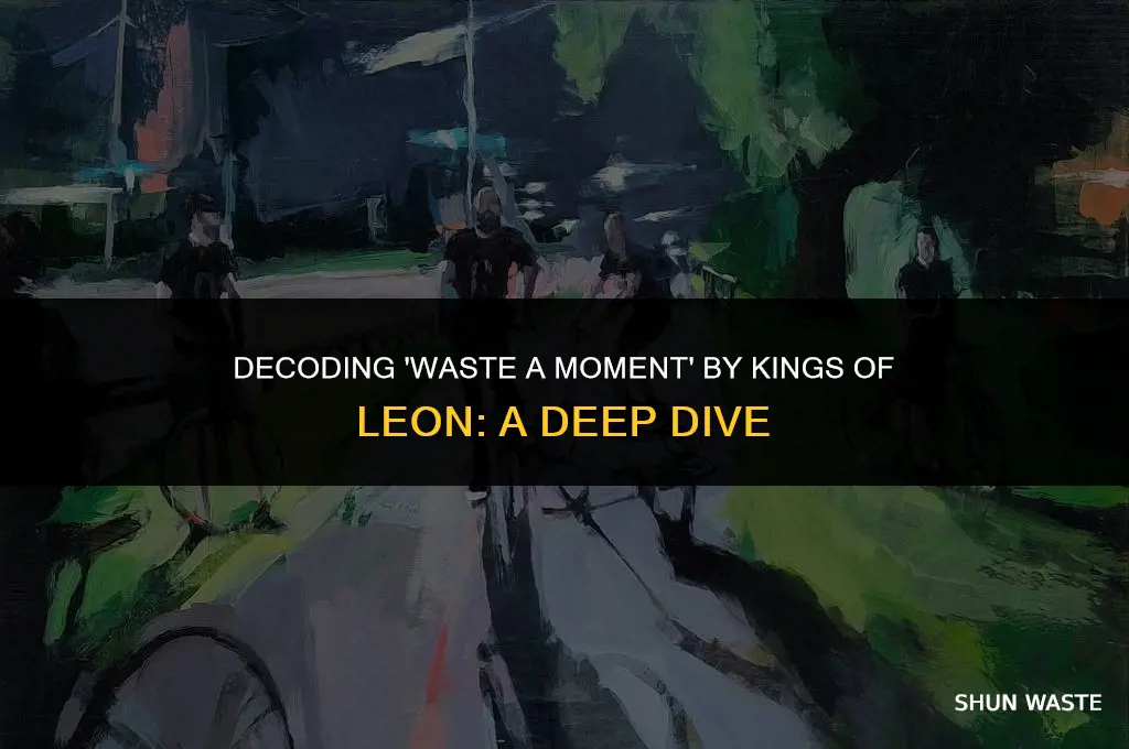 what does kings of leon waste a moment mean