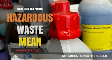 Decoding Lab-Packed Hazardous Waste: A Comprehensive Guide